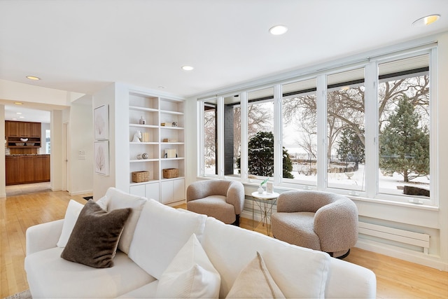 living room with light hardwood / wood-style flooring and built in features