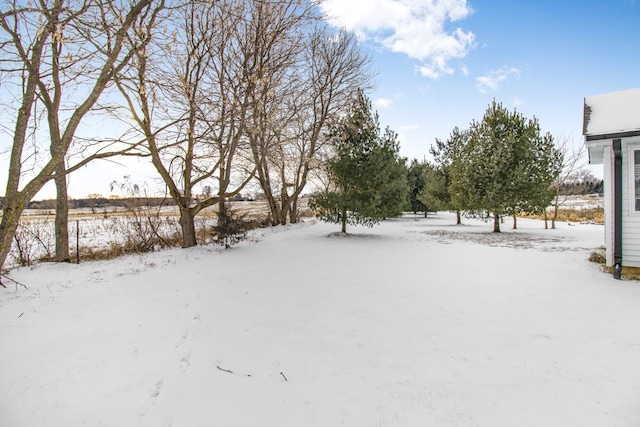 view of snowy yard