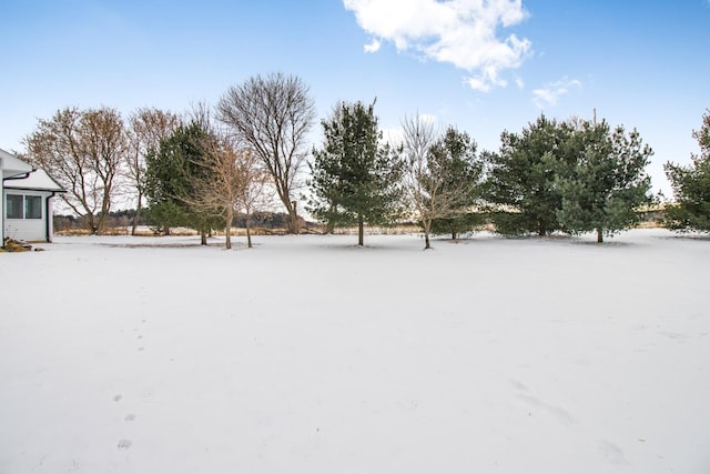 view of snowy yard