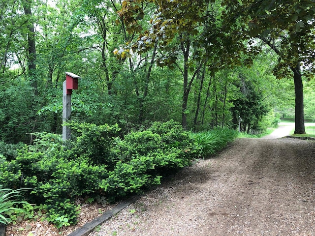 view of road