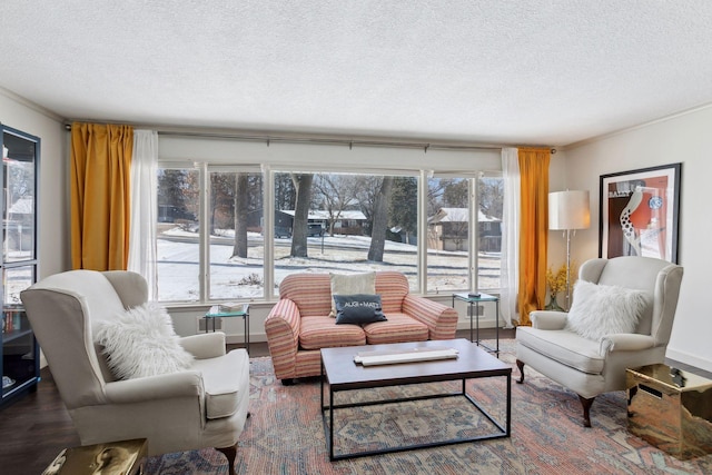 living room with dark wood-type flooring and a textured ceiling