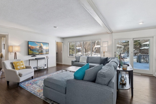 living room with ornamental molding, a textured ceiling, and dark hardwood / wood-style flooring