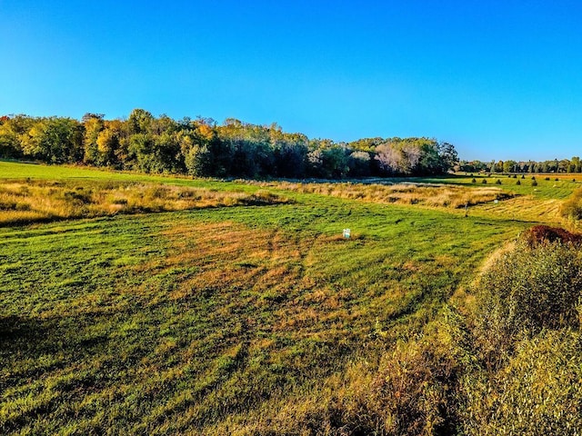 view of yard featuring a rural view