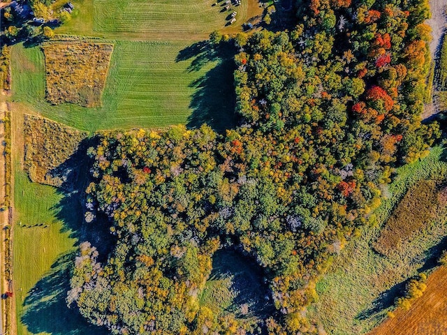 bird's eye view featuring a rural view