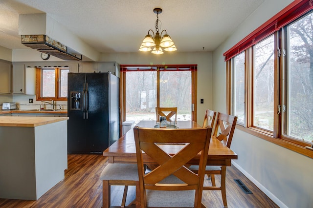 dining space with sink, a wealth of natural light, and dark hardwood / wood-style flooring