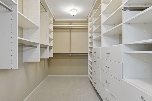 spacious closet featuring light carpet