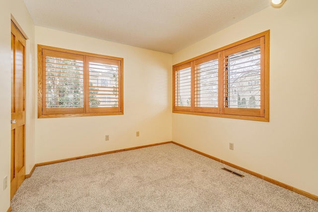 spare room featuring carpet floors, a textured ceiling, and a wealth of natural light