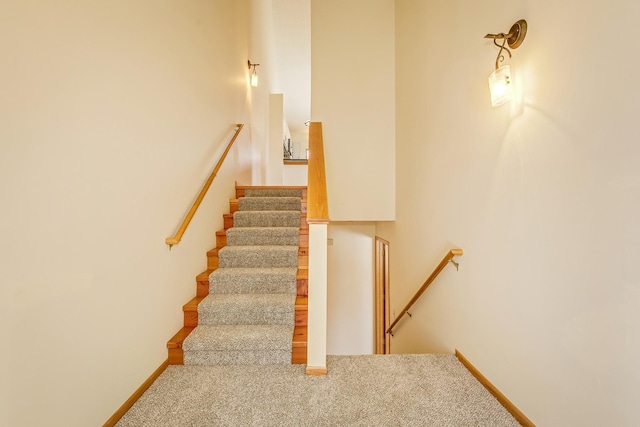 staircase featuring carpet floors