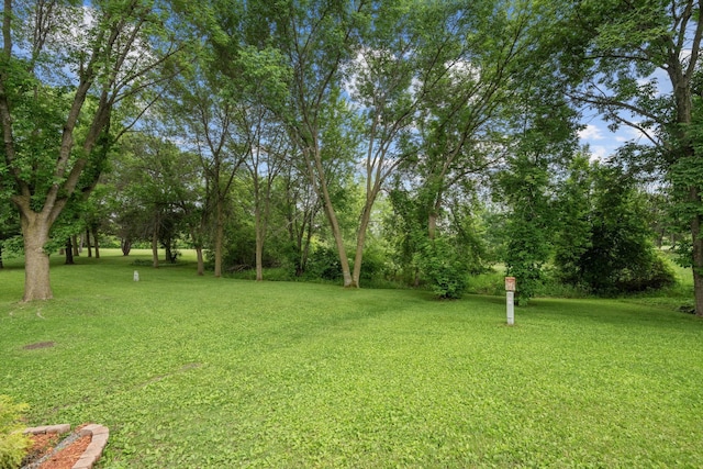 1541 2nd Ave SE, Cambridge, MN 55008 - view of green lawn