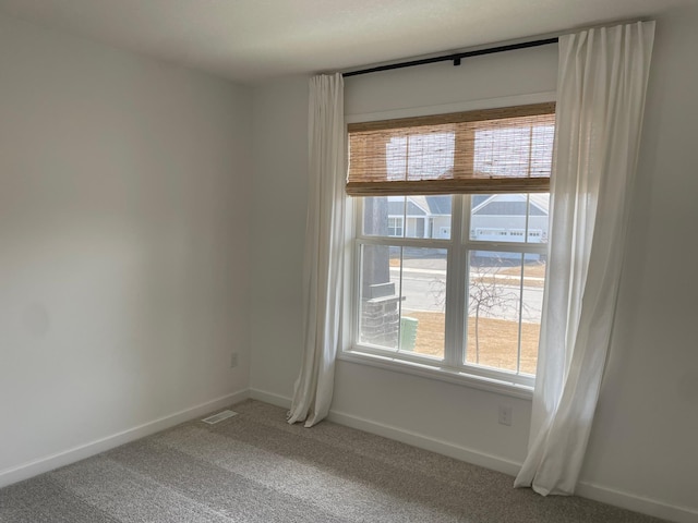 9662 49th St NE, Saint Michael, MN 55376 - spare room featuring carpet floors and plenty of natural light