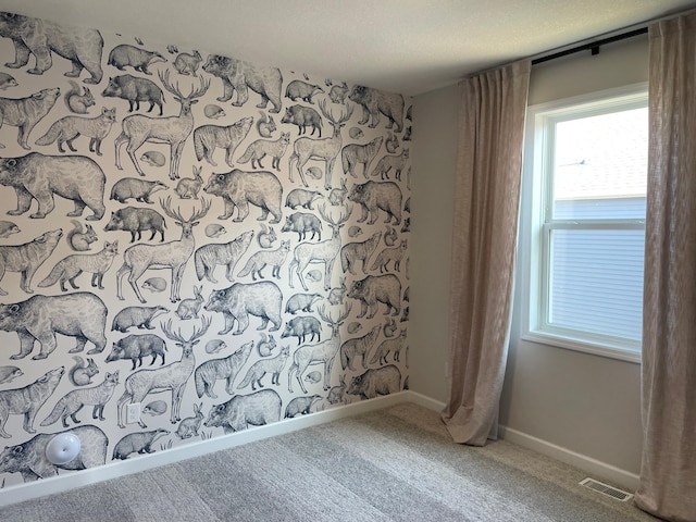 9662 49th St NE, Saint Michael, MN 55376 - carpeted spare room featuring baseboards and a textured ceiling