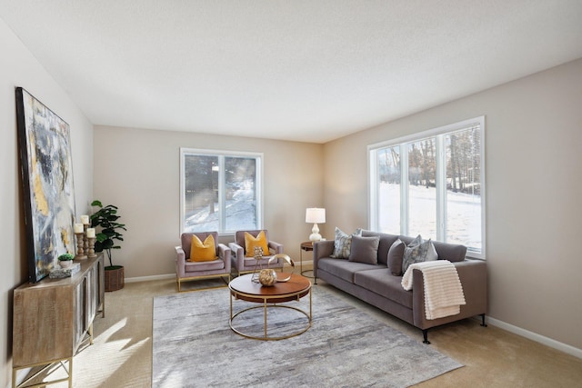 living room featuring light colored carpet