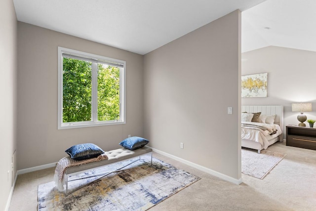 6229 Morningside Cir, Eden Prairie, MN 55344 - exercise area with carpet floors and lofted ceiling