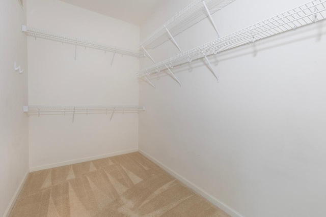 6229 Morningside Cir, Eden Prairie, MN 55344 - walk in closet featuring light colored carpet