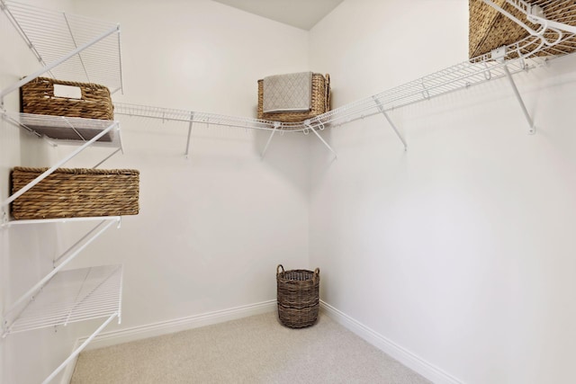 walk in closet with carpet