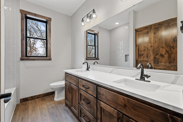 bathroom featuring vanity, wood-type flooring, and toilet