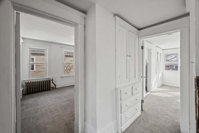 818 Sherburne Ave, Saint Paul, MN 55104 - hall with radiator heating unit, carpet, and plenty of natural light