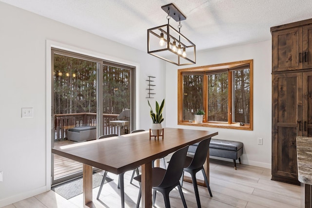 dining room with baseboards, a textured ceiling, a healthy amount of sunlight, and light wood finished floors