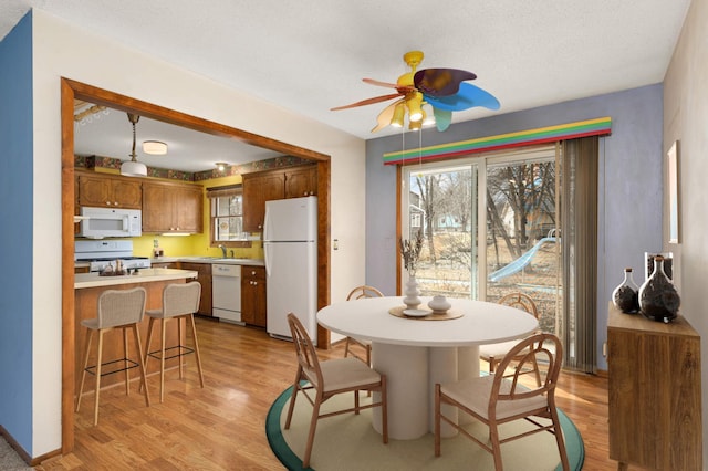 dining space featuring a wealth of natural light, ceiling fan, and light wood-style flooring