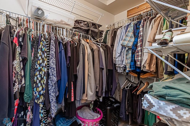 view of walk in closet