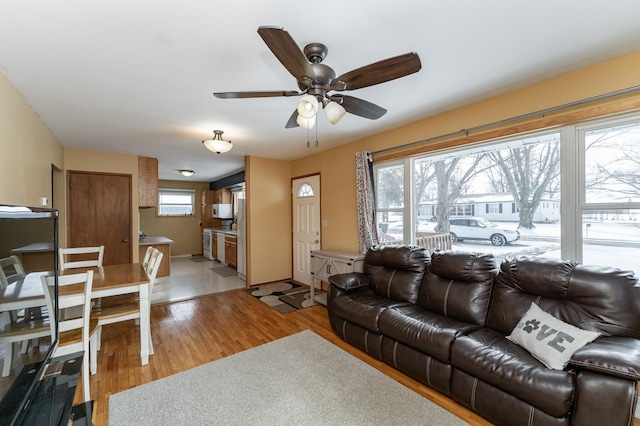 living room with ceiling fan and light wood-type flooring