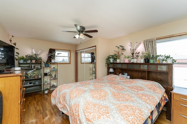 bedroom with dark wood-type flooring and ceiling fan