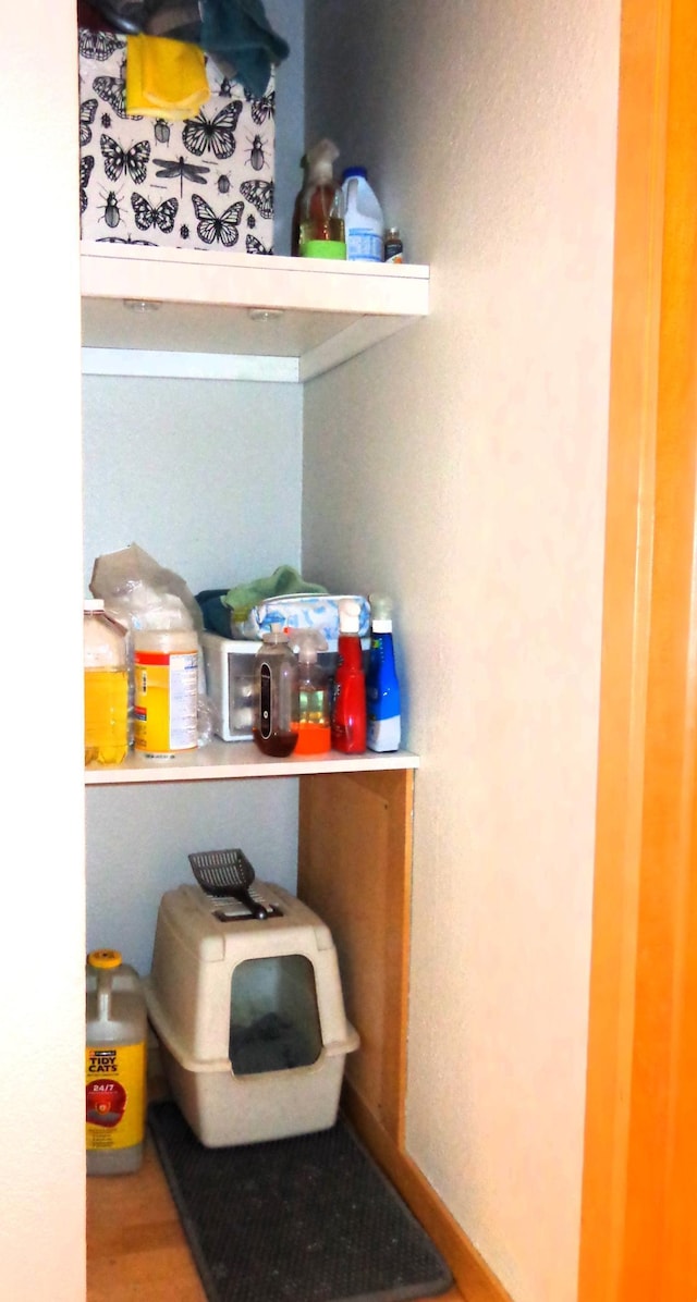 view of pantry