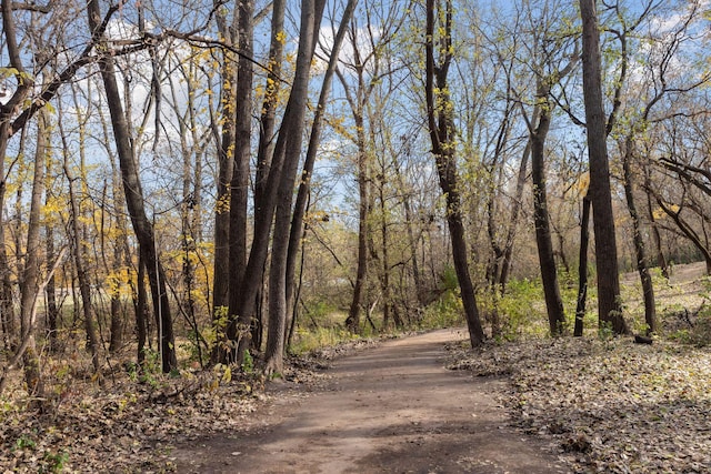 view of road