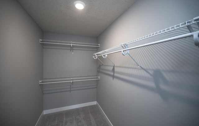 walk in closet with carpet