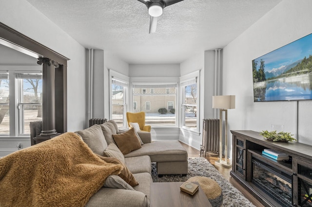 living room featuring hardwood / wood-style floors, radiator heating unit, a textured ceiling, and ceiling fan