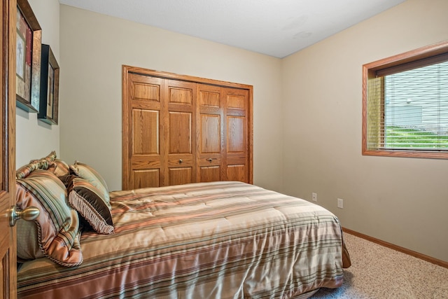 bedroom featuring carpet floors and a closet