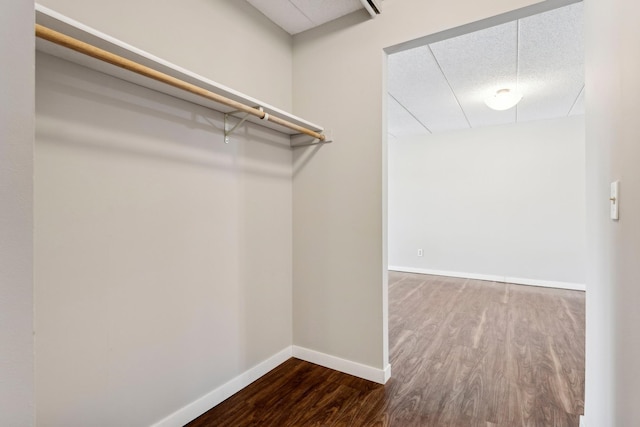 spacious closet with dark wood finished floors