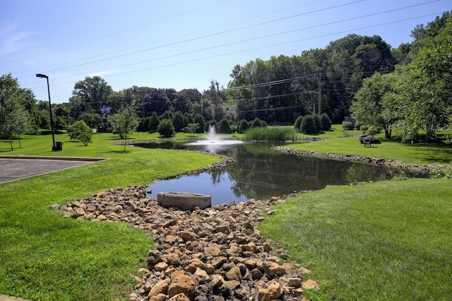 1077 Sibley Memorial Hwy Unit 607, Lilydale, MN 55118 - water view