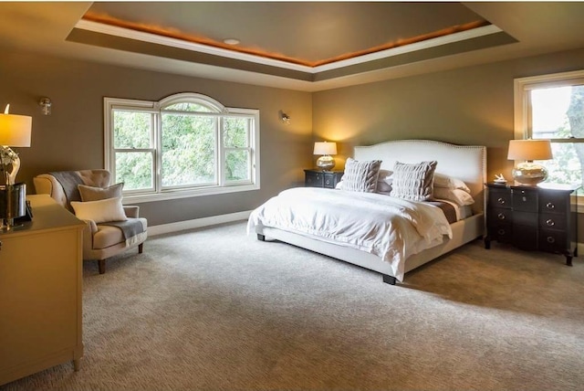 carpeted bedroom featuring multiple windows and a raised ceiling