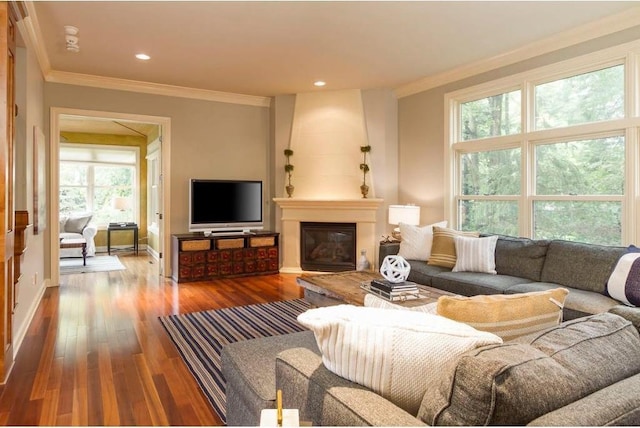 living room with crown molding, a large fireplace, and hardwood / wood-style flooring