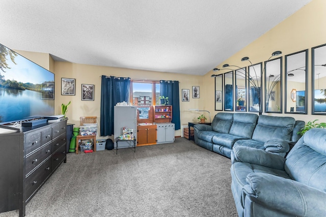 living room with carpet floors and a textured ceiling