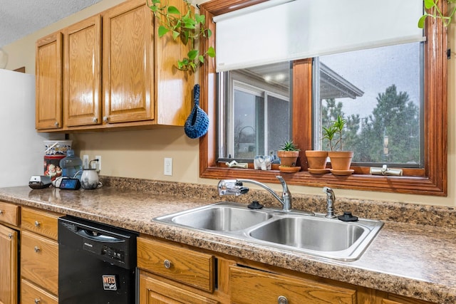 kitchen featuring sink and dishwasher