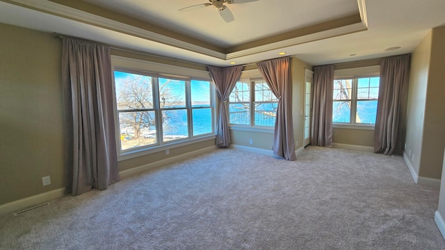 7 County Road 12 S, Buffalo, MN 55313 - carpeted spare room with a ceiling fan, a raised ceiling, and baseboards