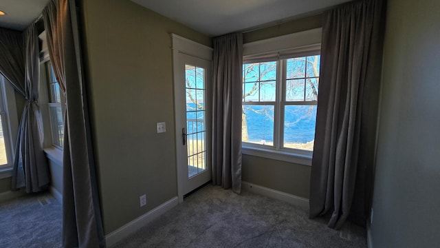 7 County Road 12 S, Buffalo, MN 55313 - entryway featuring carpet floors and baseboards