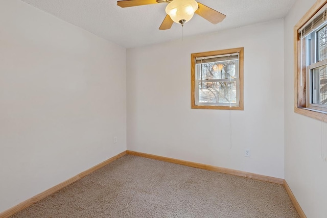 empty room with carpet, baseboards, and a wealth of natural light