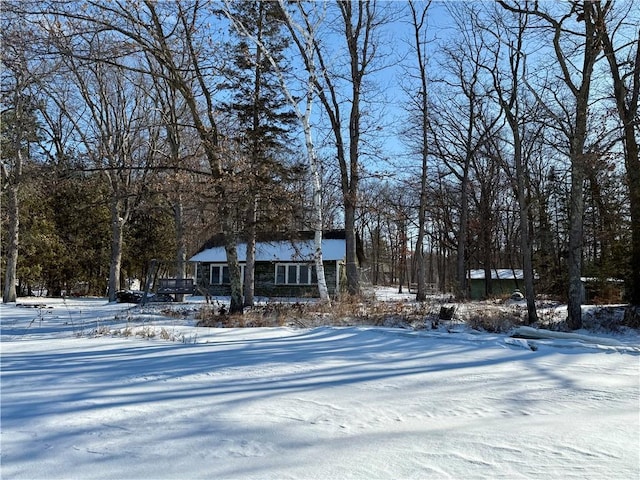 view of yard covered in snow