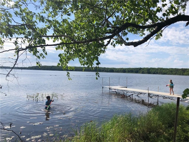 dock area featuring a water view