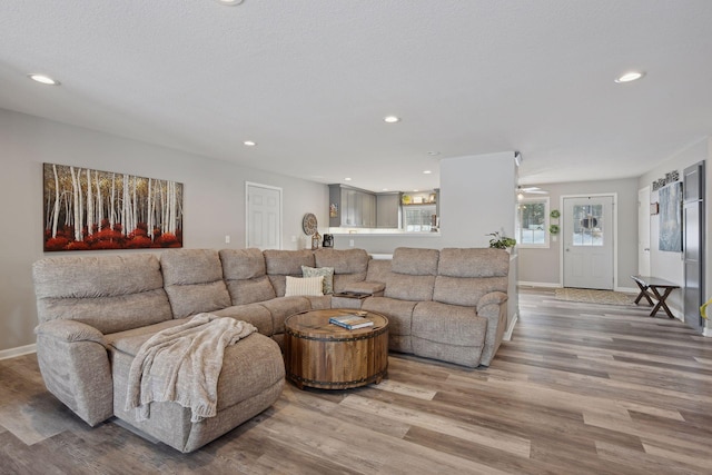 living room featuring light hardwood / wood-style flooring