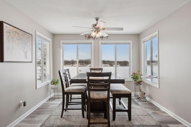 dining space featuring dark wood-type flooring and ceiling fan