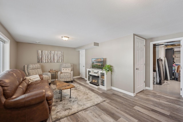 living room with light hardwood / wood-style flooring