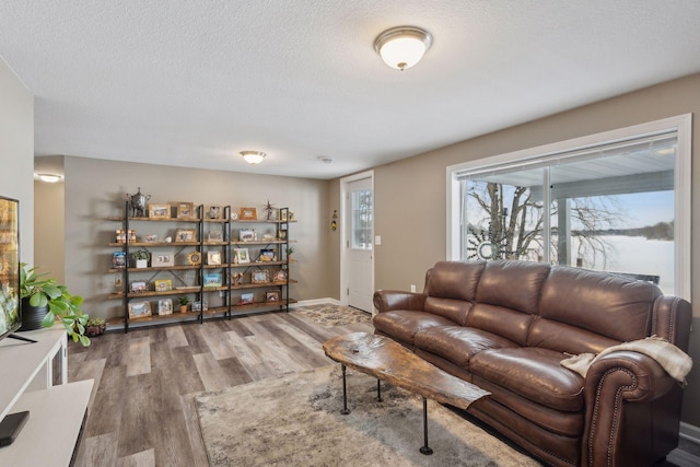 living room with hardwood / wood-style floors and a textured ceiling