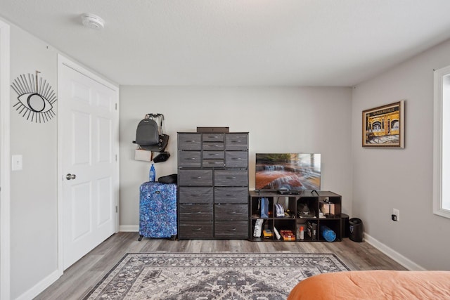 interior space featuring hardwood / wood-style flooring