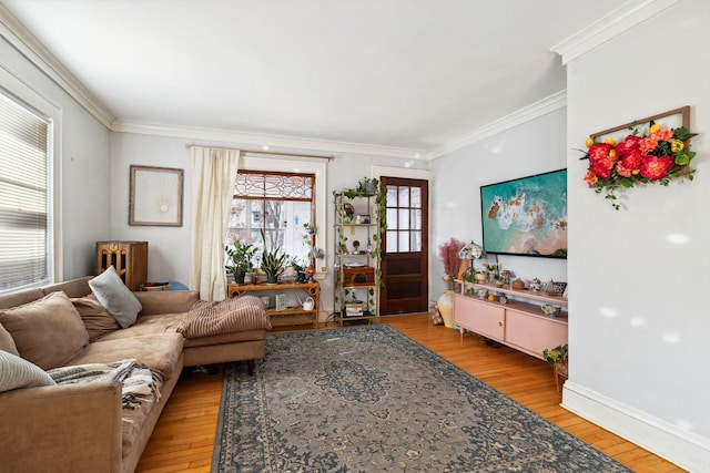 living area with ornamental molding, light wood-type flooring, and baseboards