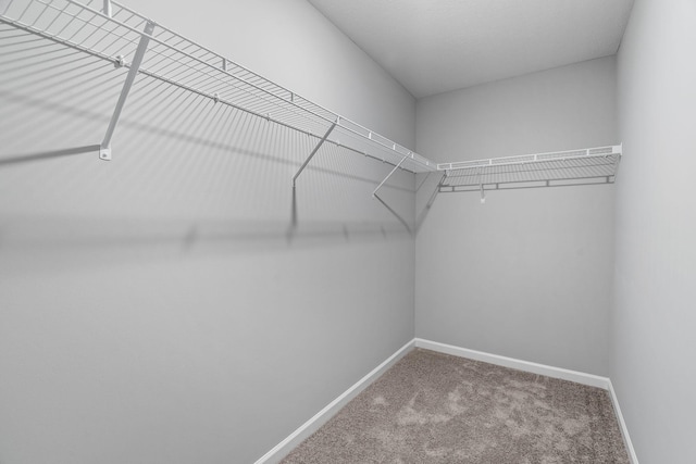 spacious closet with carpet flooring