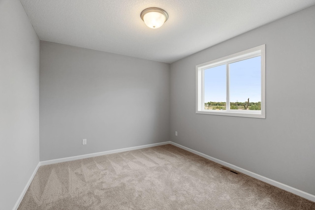 spare room featuring carpet and a textured ceiling